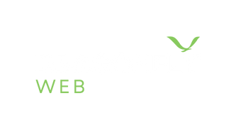 Dragonfly Web | Digital Marketing Dragonfly Web | Digital Marketing